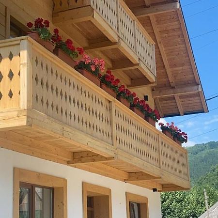 Anahouse Hotel Viseu de Sus Bagian luar foto