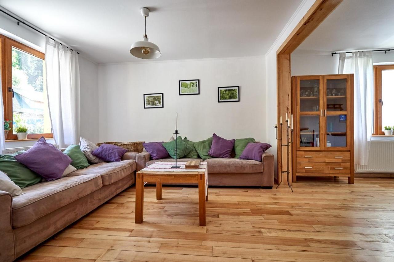 Anahouse Hotel Viseu de Sus Bagian luar foto