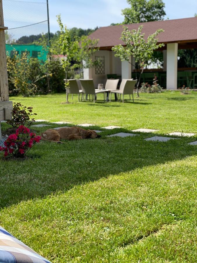 Anahouse Hotel Viseu de Sus Bagian luar foto