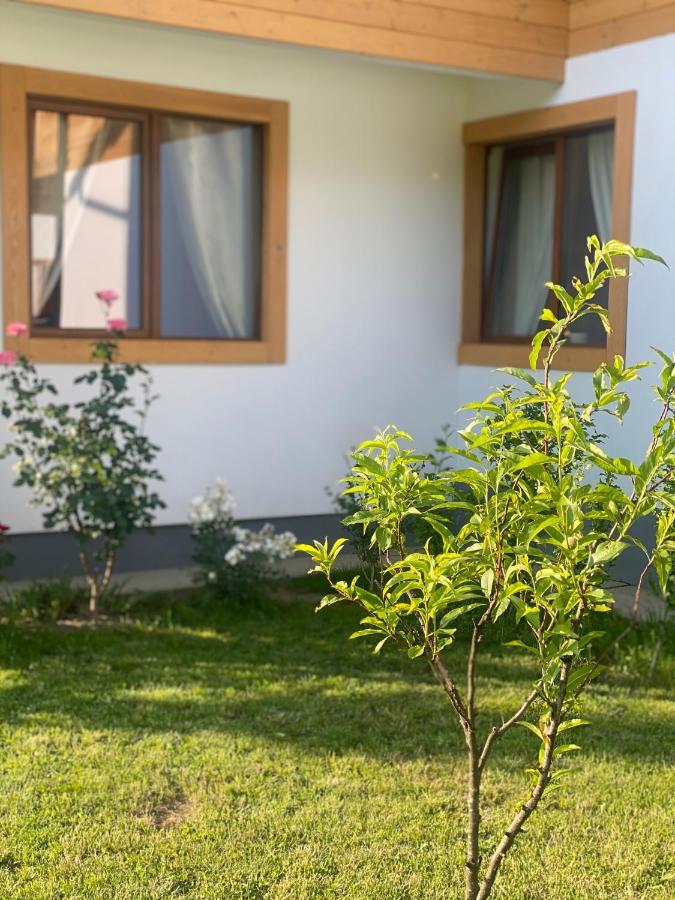 Anahouse Hotel Viseu de Sus Bagian luar foto