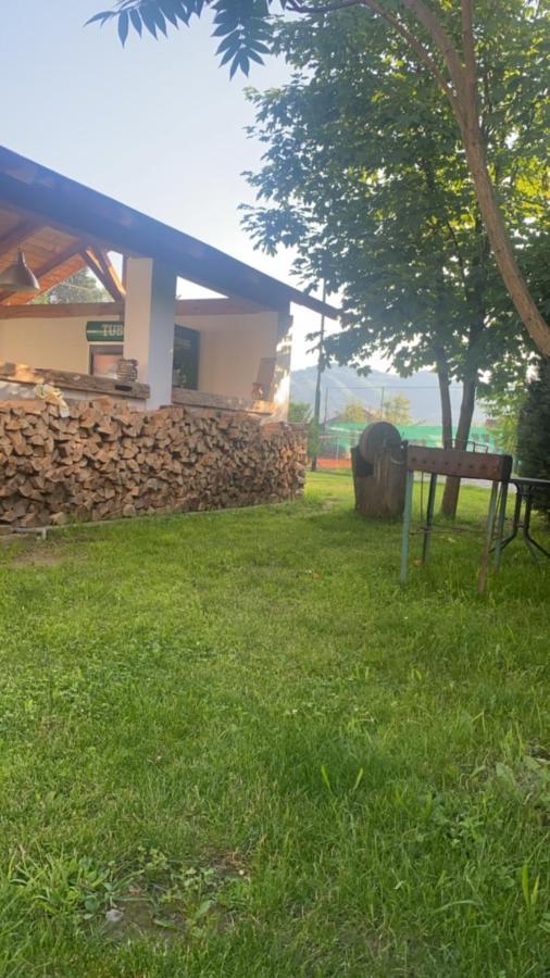 Anahouse Hotel Viseu de Sus Bagian luar foto