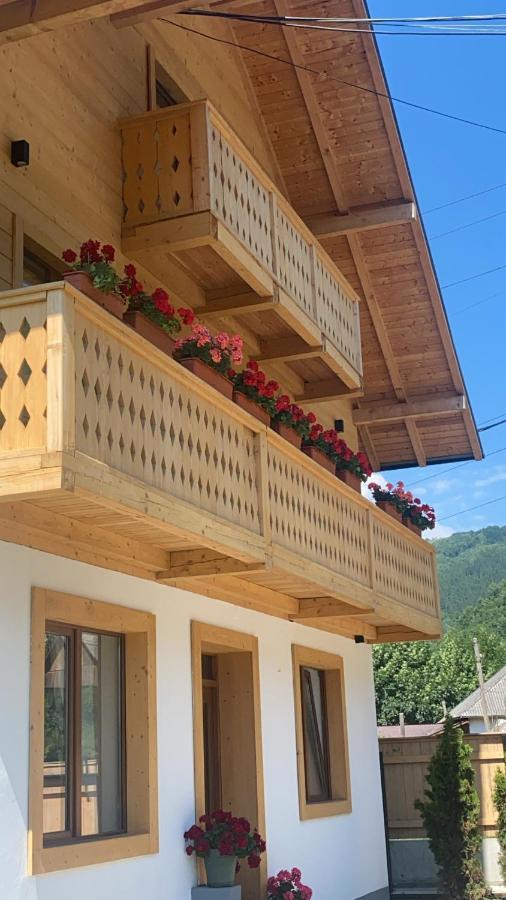 Anahouse Hotel Viseu de Sus Bagian luar foto